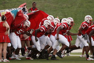 AYX SPORTS-国家队技战术水平提升瓶颈，国家技巧队